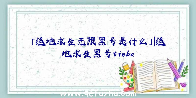 「绝地求生无限黑号是什么」|绝地求生黑号tieba